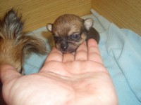 /album/prosinec-2012/a2-12-2012-8-jpg/